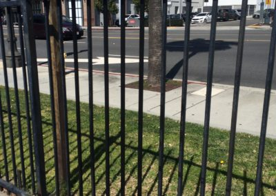Black metal fence with a street and cars in the background. Tree in the middle, casting a shadow.