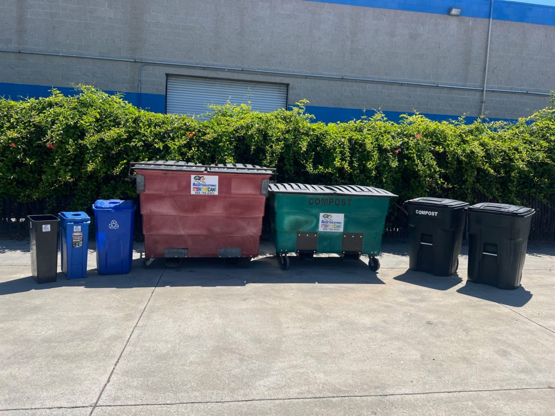 Various recycling and trash bins in front of a building with greenery in the background.
