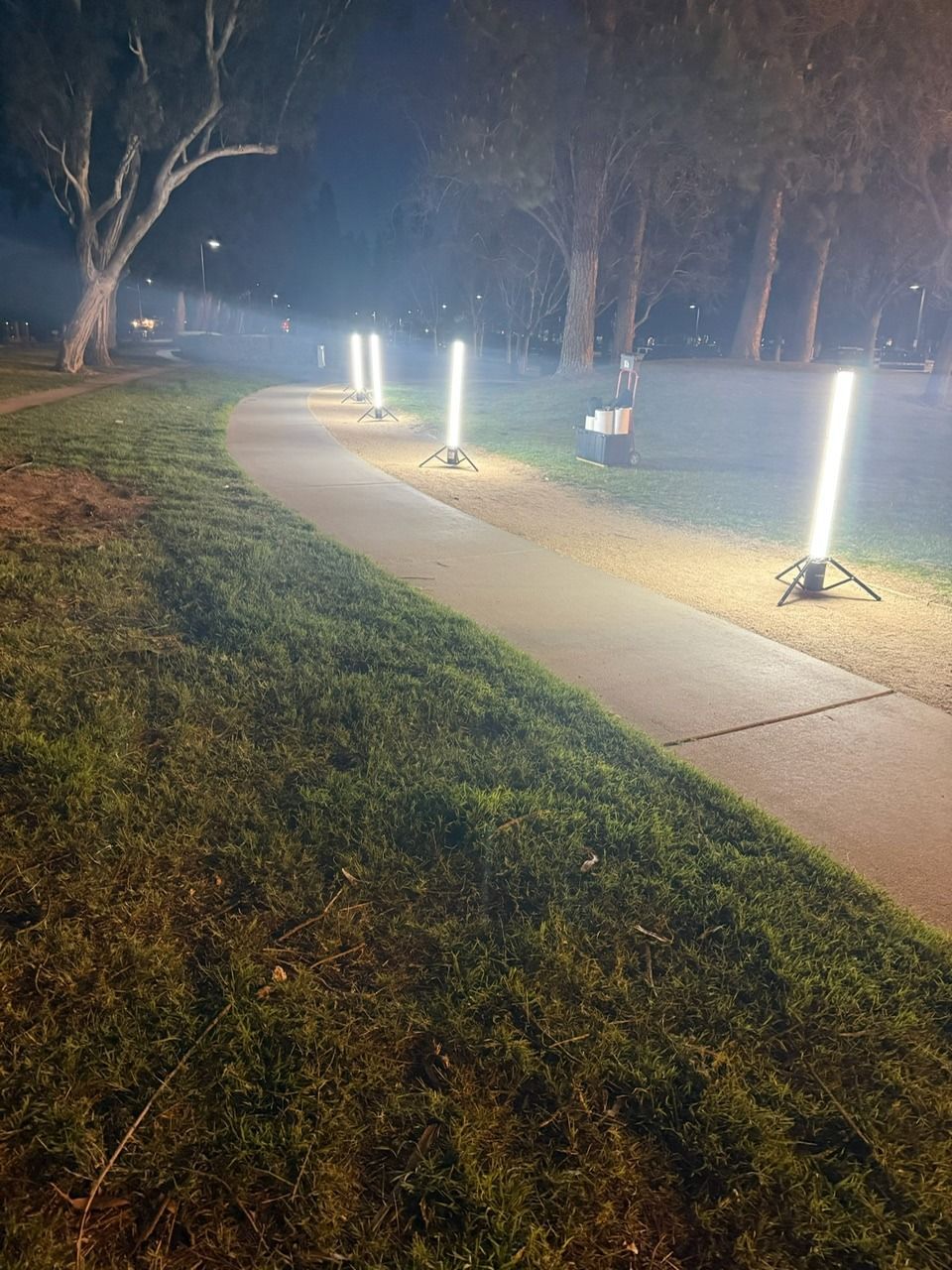 A nighttime scene of a paved path illuminated by vertical lights in a grassy area with trees.