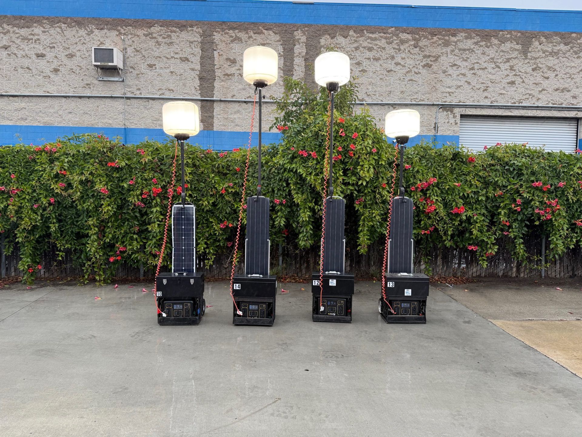 Four tall, black portable lights with white globe tops lined up on a concrete surface in front of a hedge.