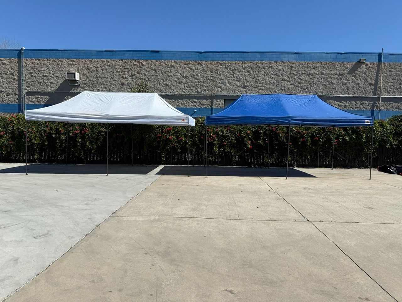 White and blue canopies set up on a concrete surface against a brick wall and green shrubs.