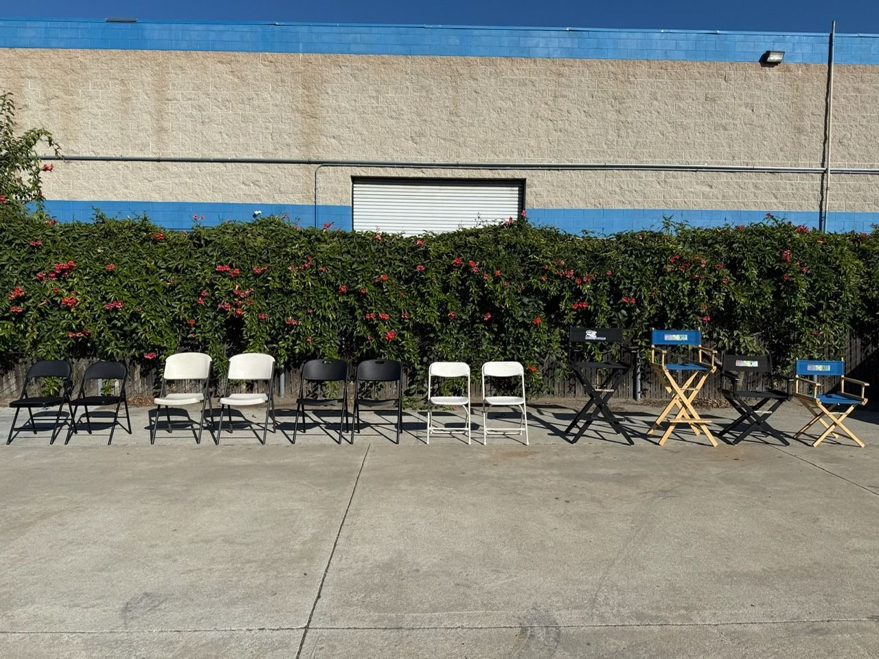 A row of black and white folding chairs and blue director's chairs in front of a green hedge and building.
