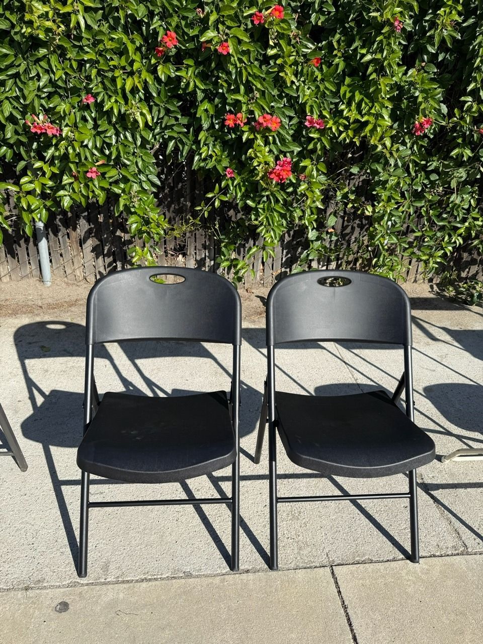 Two black folding chairs on a concrete surface with a flowering bush in the background.