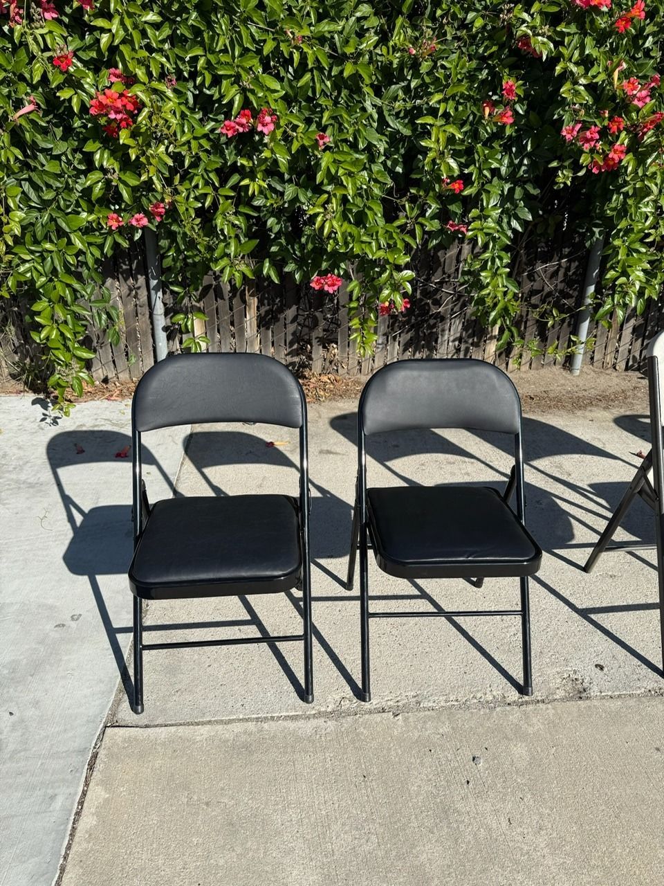 Two black folding chairs on a concrete surface with greenery in the background.