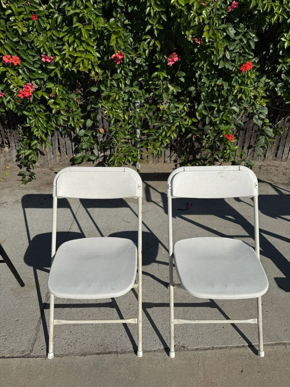 Two white folding chairs on concrete, with green foliage and red flowers in the background.