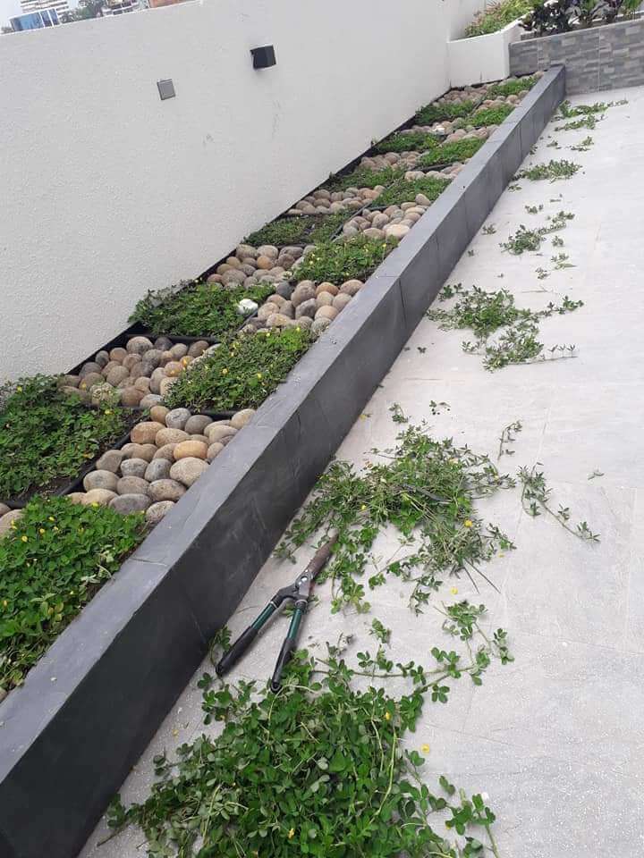 Servicios de jardinería