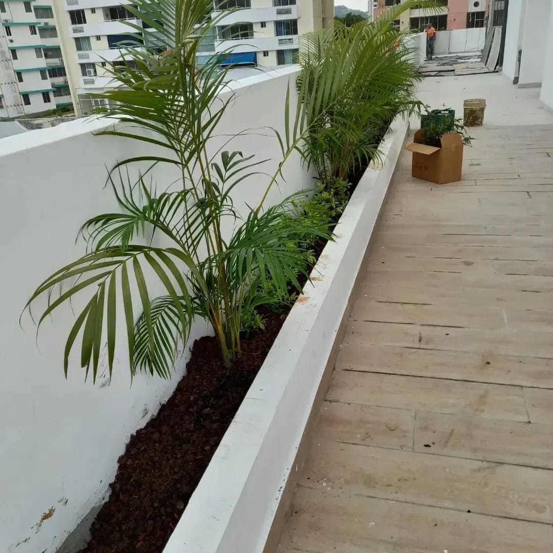Servicios de jardinería