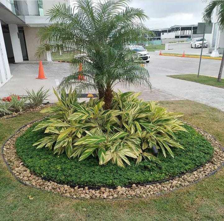 Servicios de jardinería