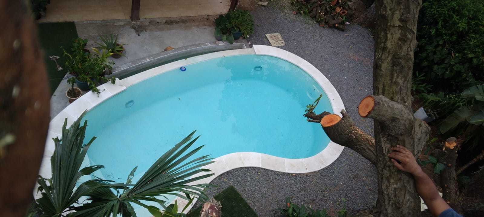 Servicios de jardinería