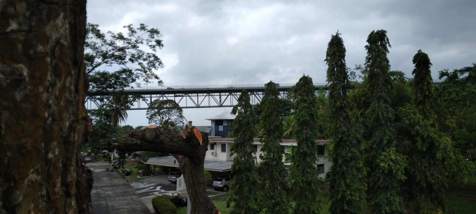 Servicios de jardinería