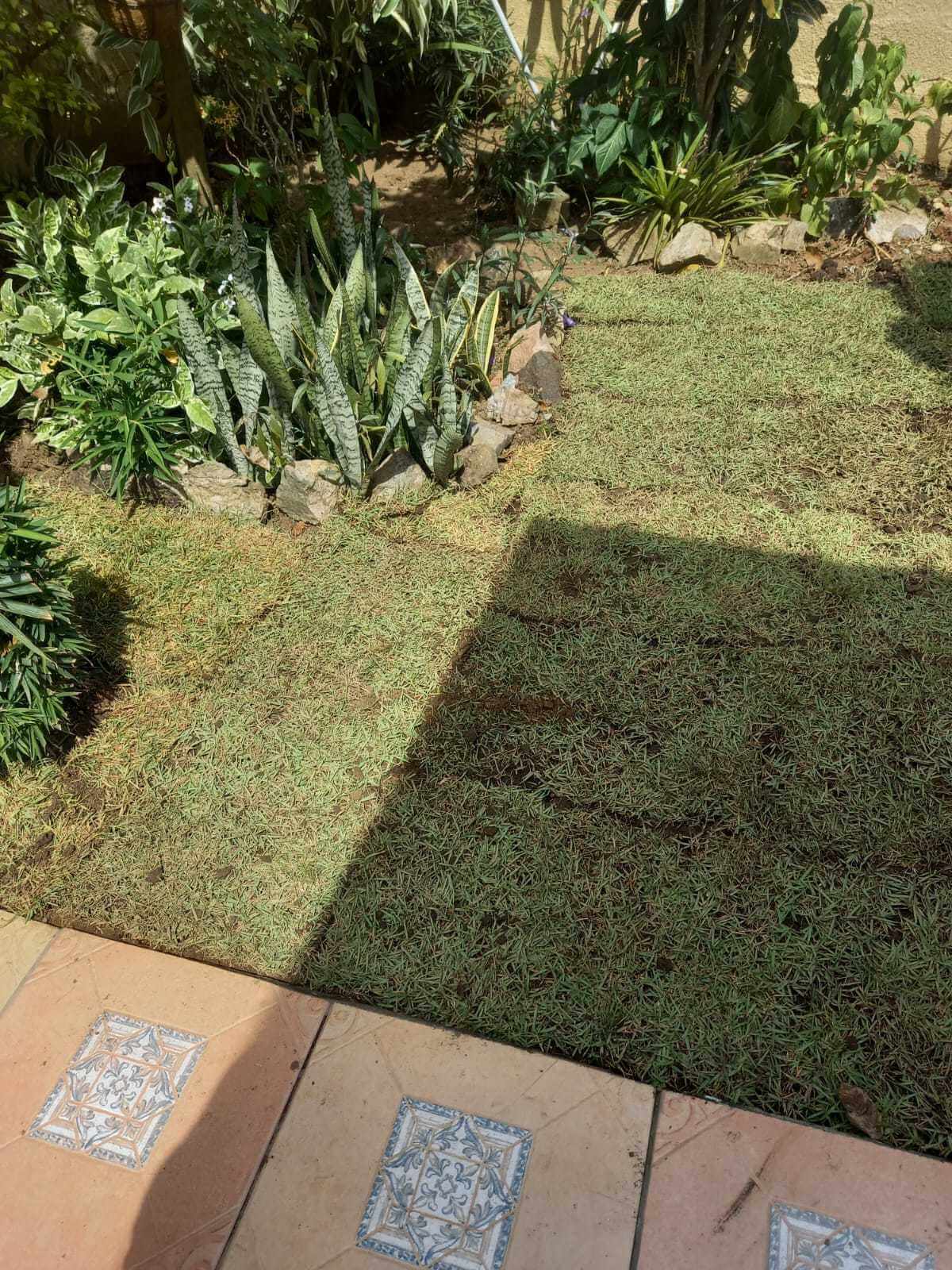 Servicios de jardinería