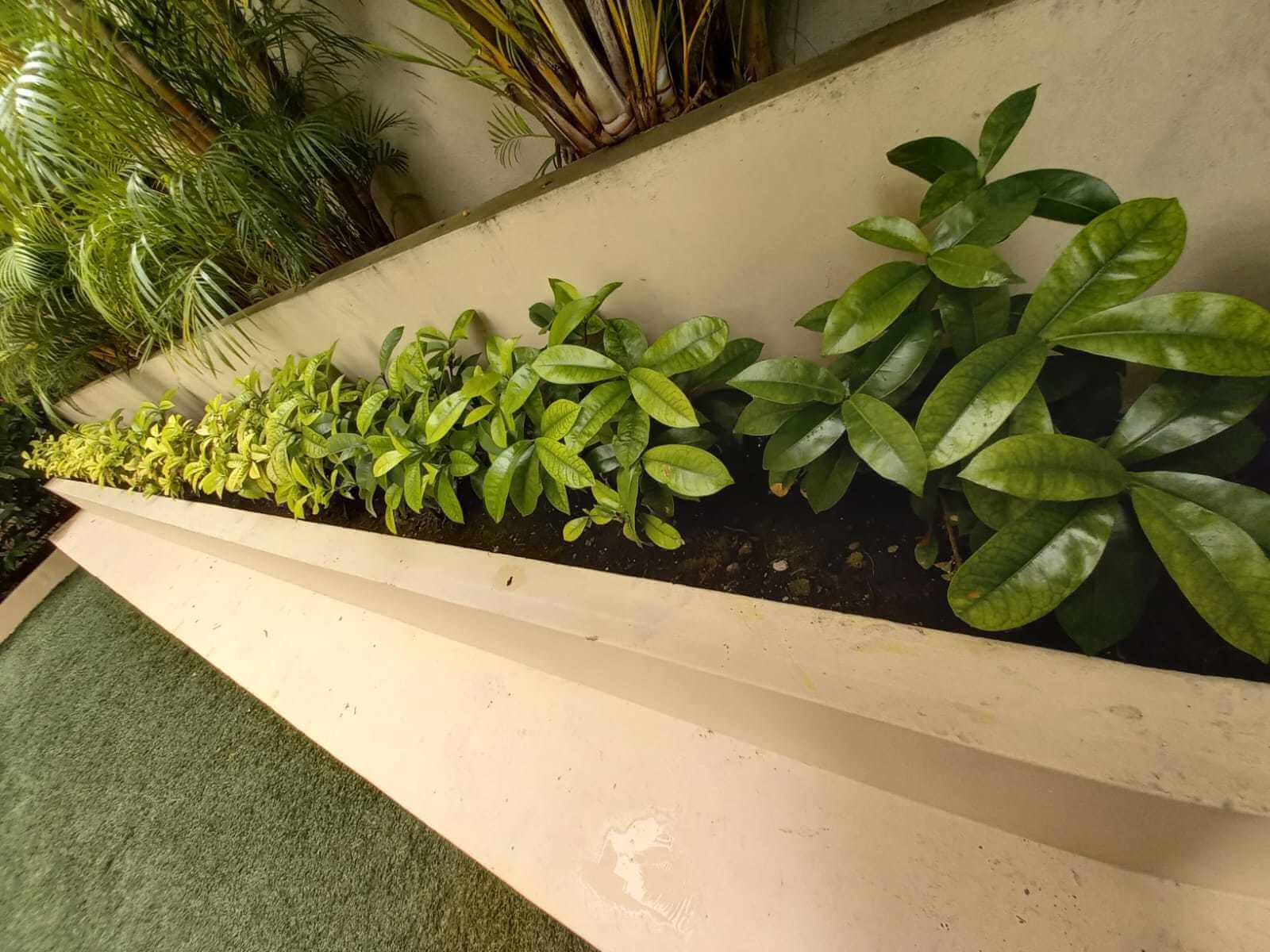 Servicios de jardinería