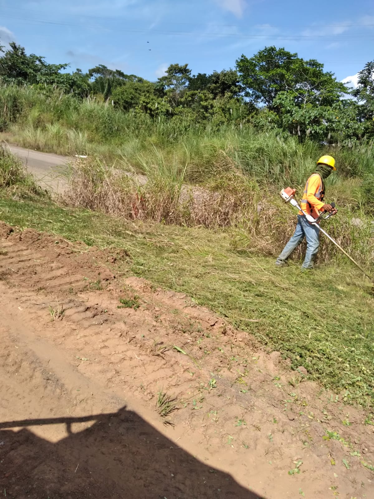 Servicios de jardinería