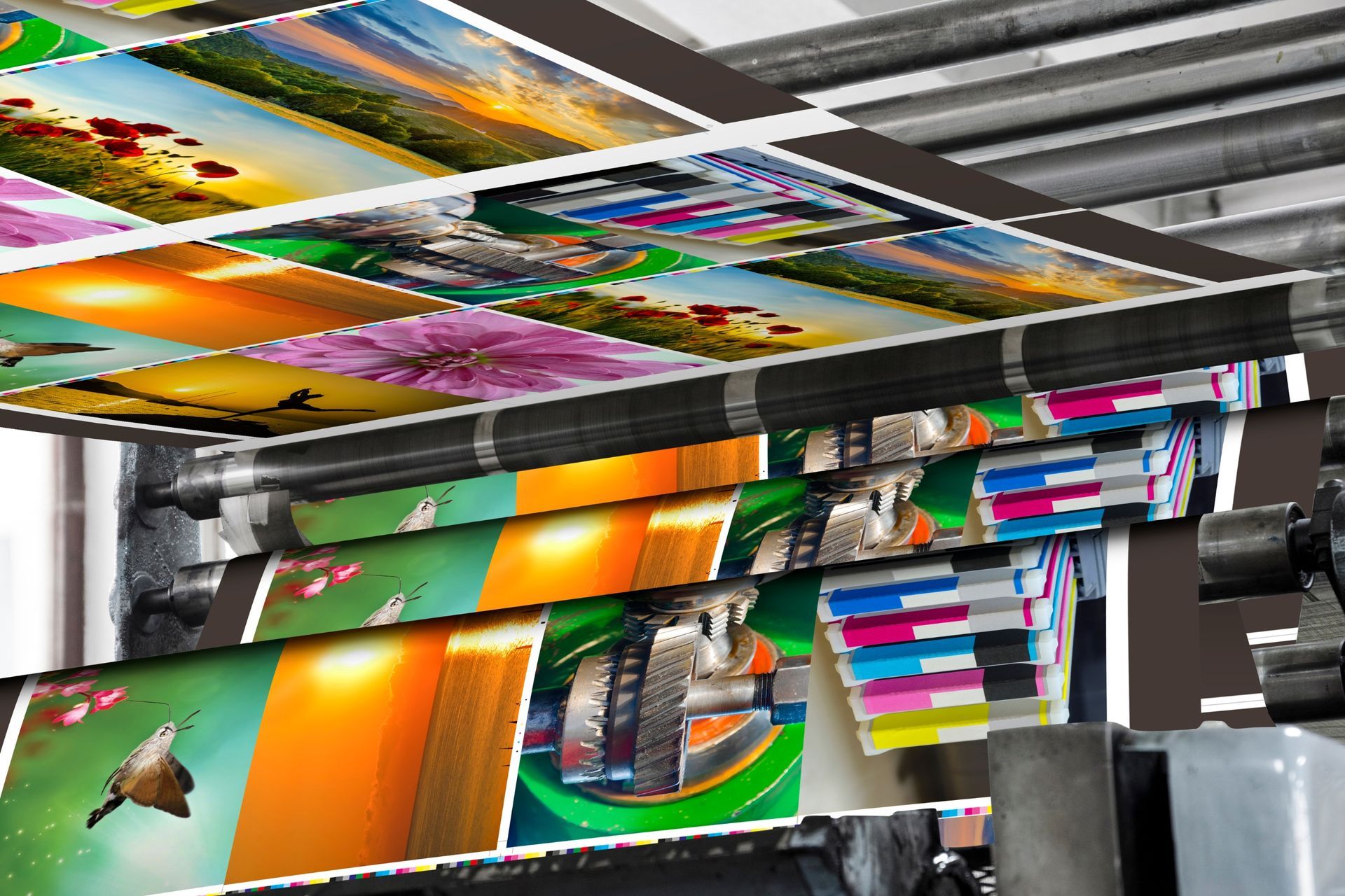 Boston Local Digital Printing Services 