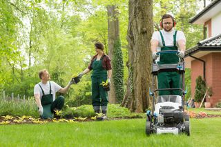 Lawn Care — Lawn Maintenace in Brownsville, TX