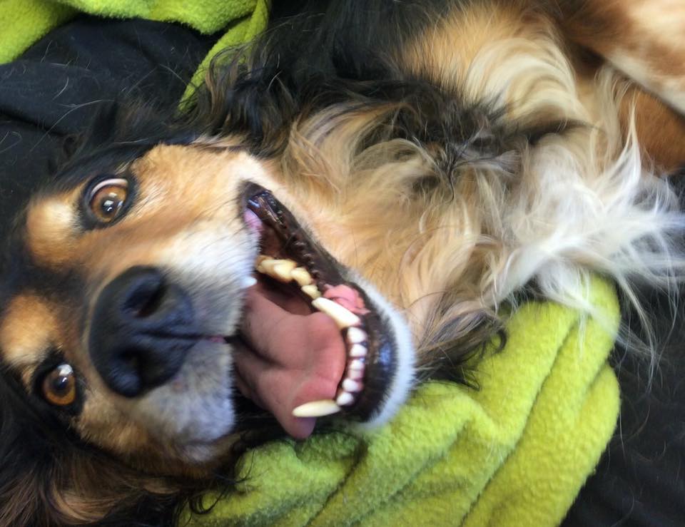 Non-Sedation Teeth Cleaning