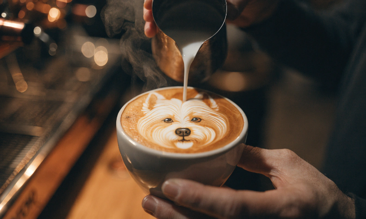 Barista pouring coffee.  Elite baristas domain name