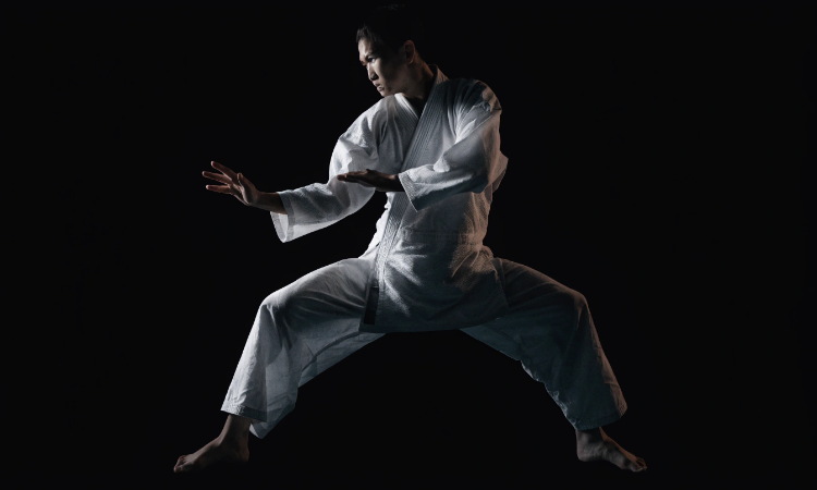 Martial artist fight finesse.  Martial arts domain name