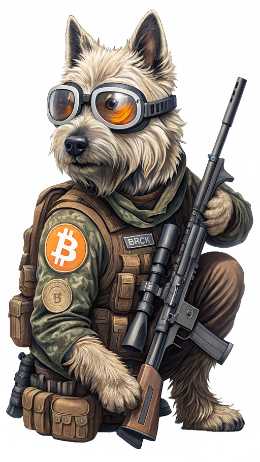 Crypto terrier in tactical gear with Bitcoin patch, holding rifle.