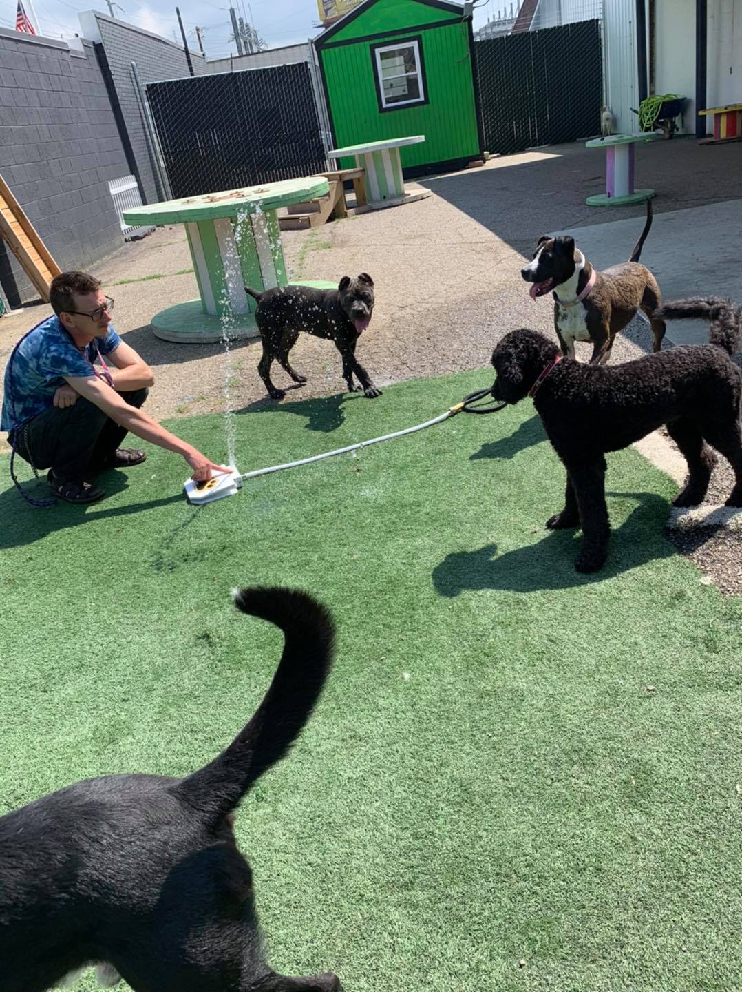 East Side Location Daisy's Pet Playground Evansville, IN