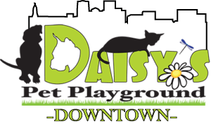 Daisy's pets playground logo