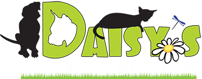 daisy's pets playground logo