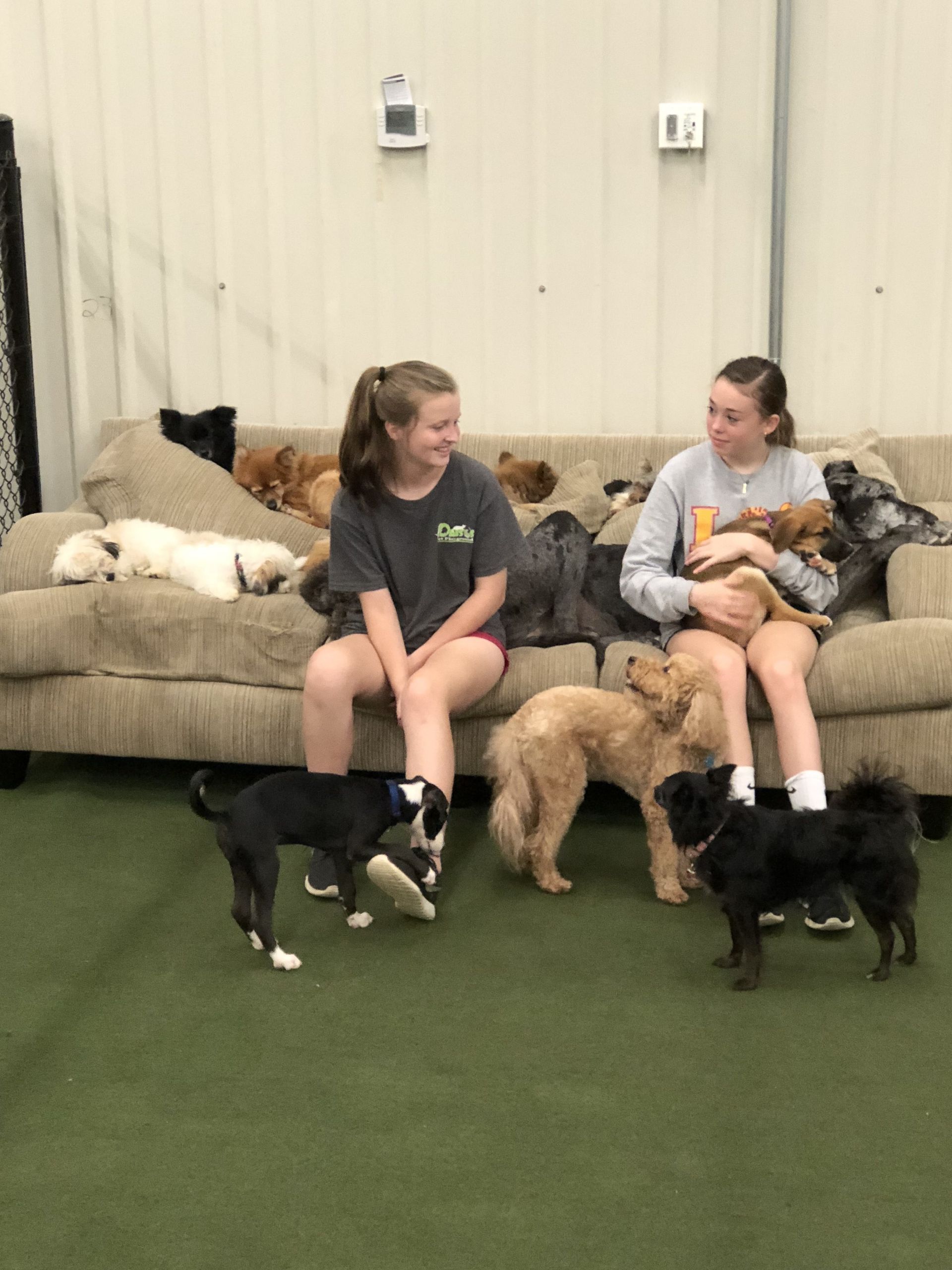 Gallery Daisy's Pet Playground Evansville, IN