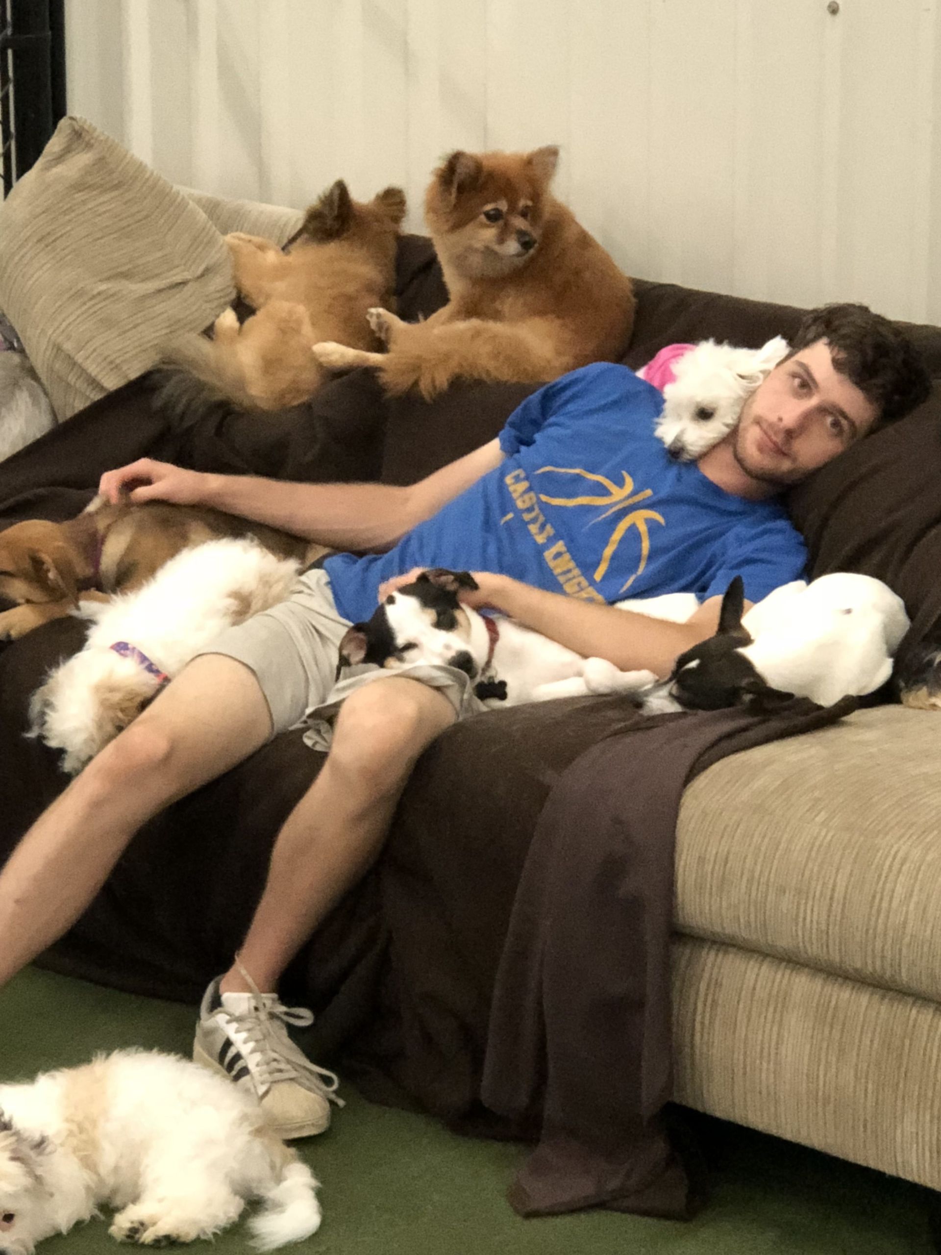 Gallery Daisy's Pet Playground Evansville, IN