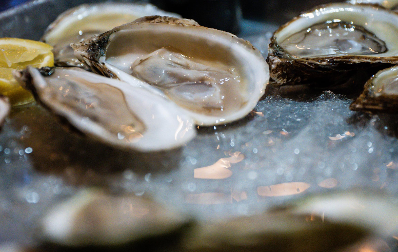 A close up of oysters on ice with lemon wedges.