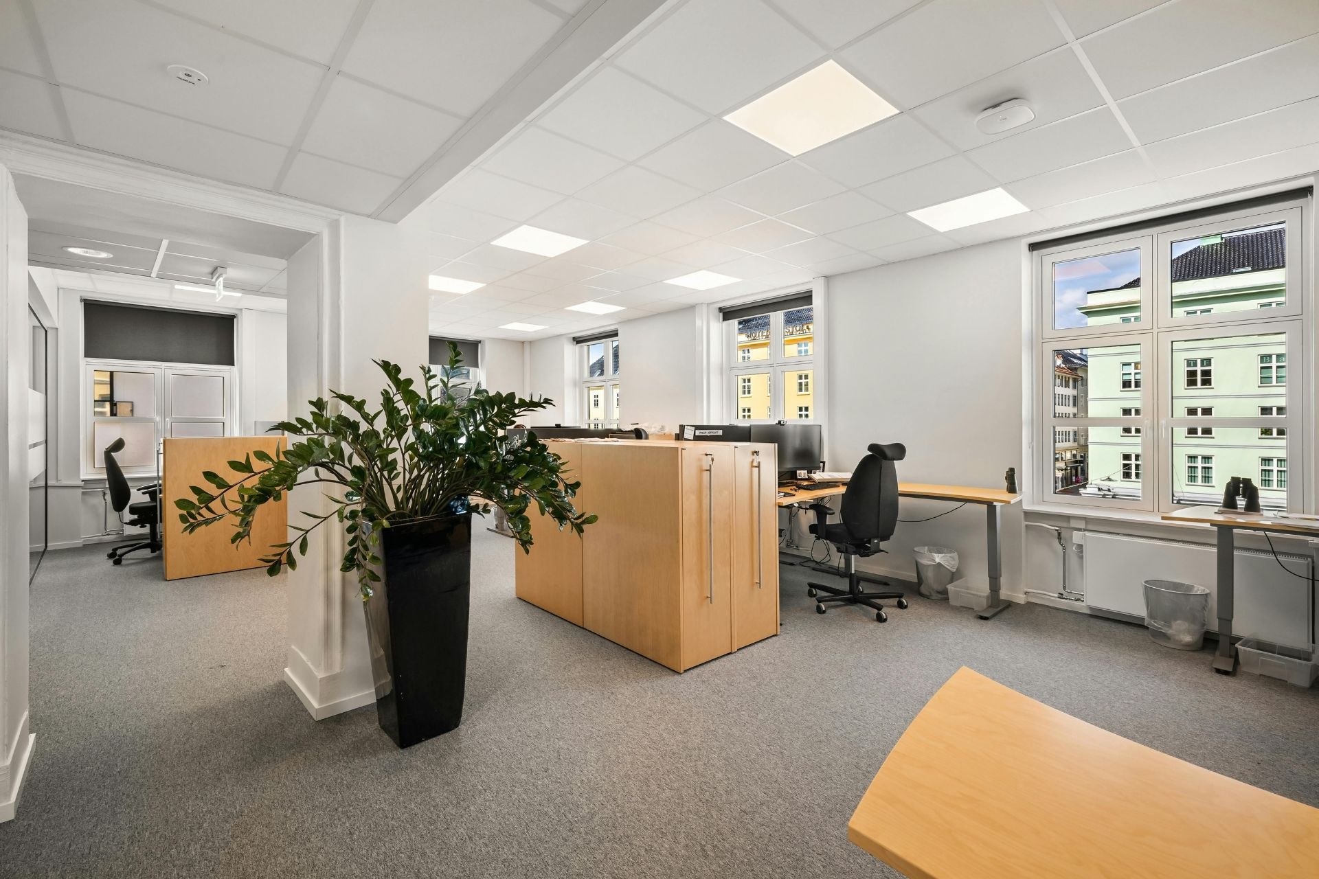 Commercial Junk Removal