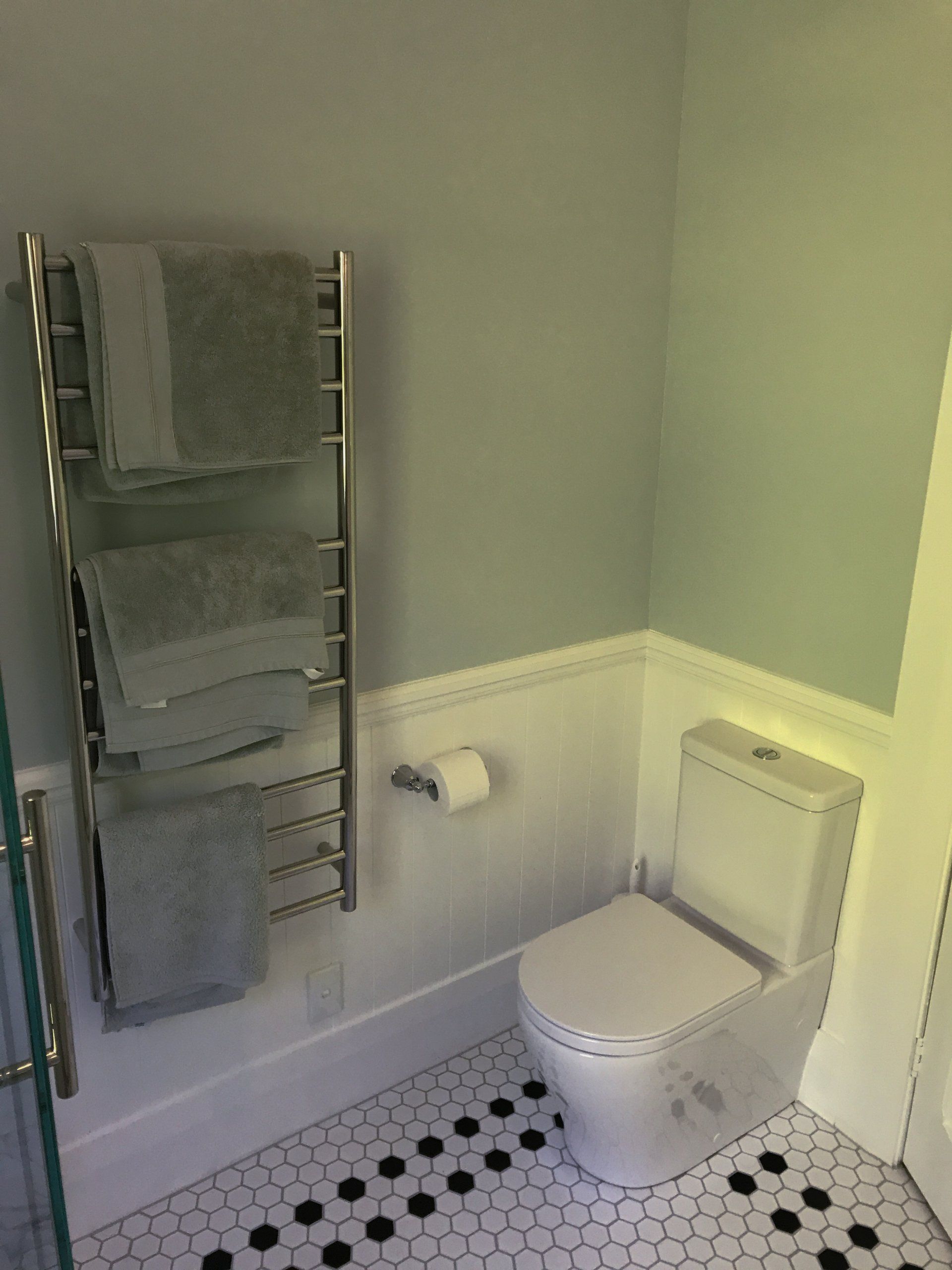 A bathroom with a toilet , towel rack , and shower.