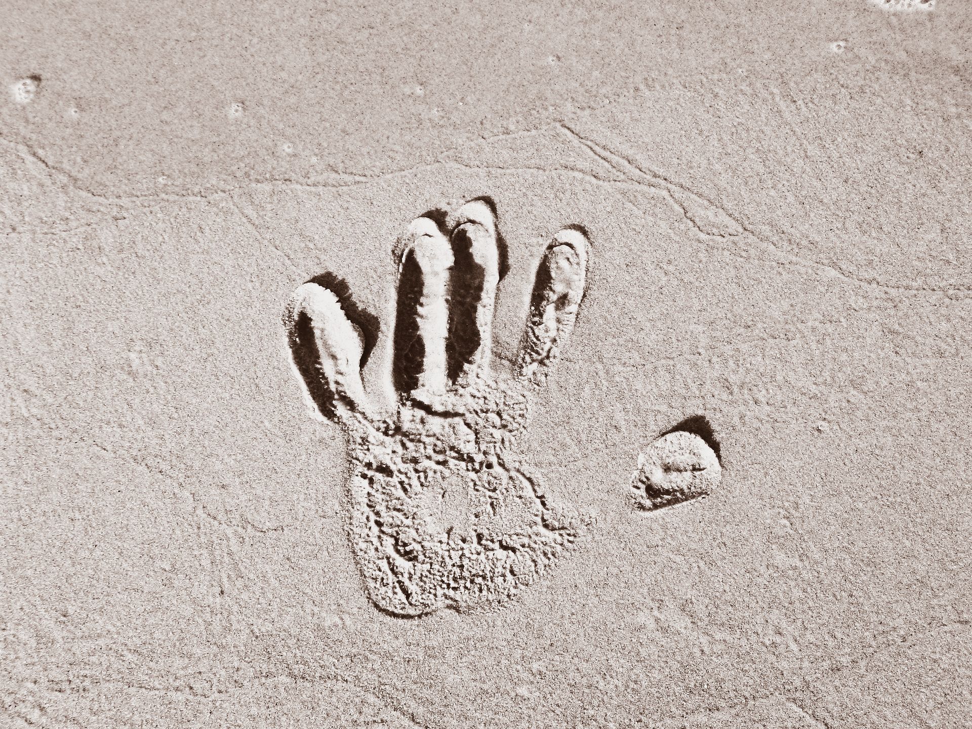 Handabdruck in nassem Sand