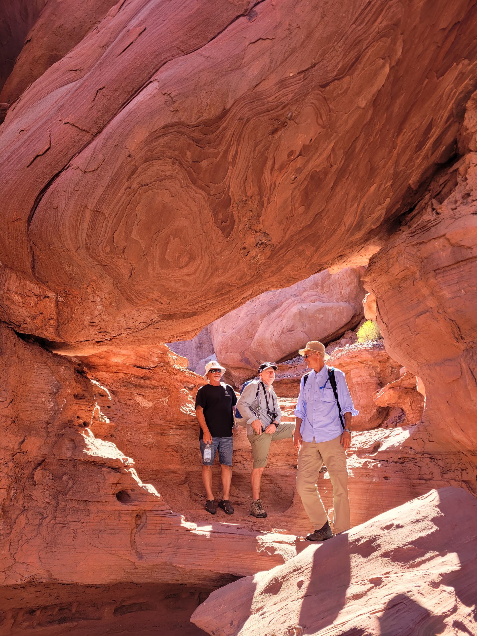 Asociación Civil de Guías del Parque Nacional Talampaya