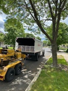 A truck is parked on the side of the road next to a tree.