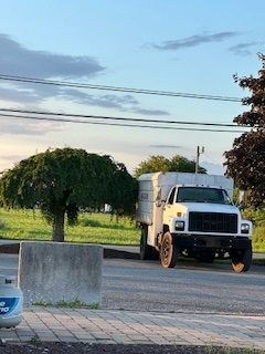 A white truck is parked on the side of the road next to a tree.