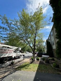 A white truck is parked on the side of the road next to a tree.