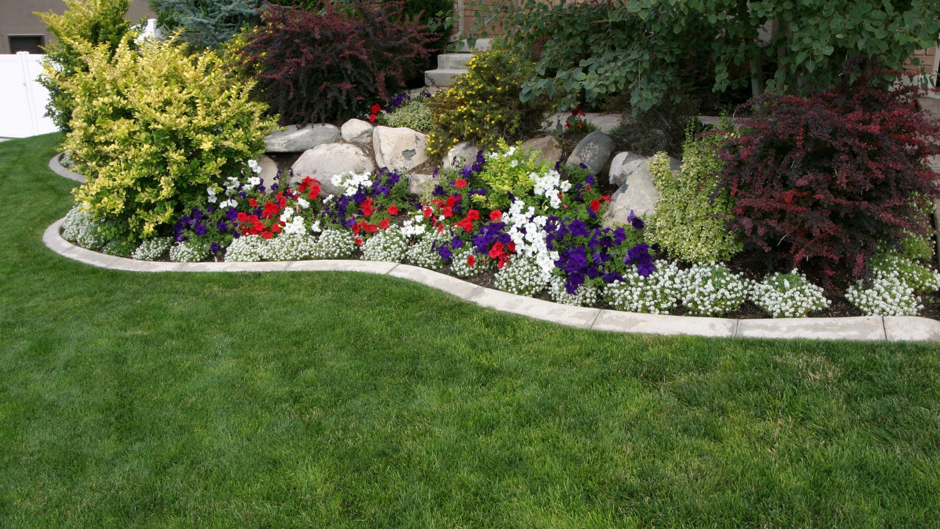 A lush green lawn with a border of flowers and shrubs.