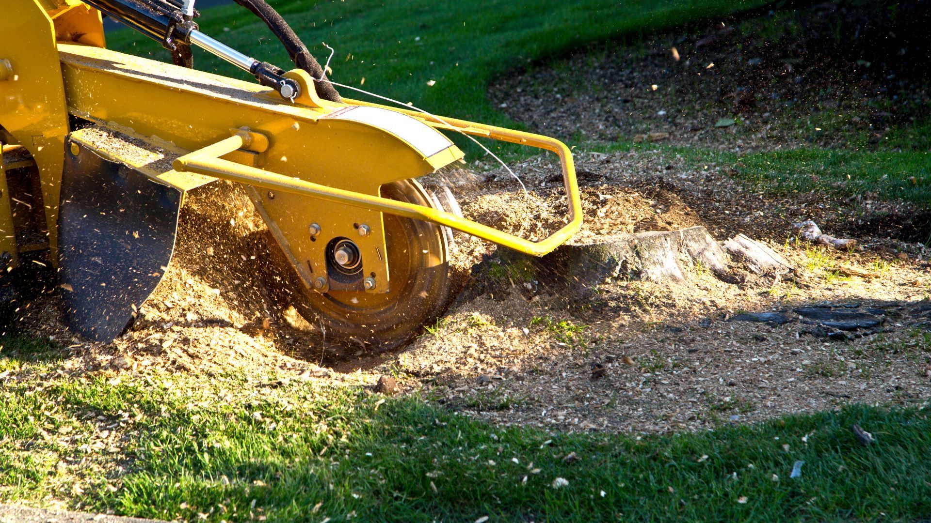 A yellow stump grinder is cutting a tree stump in the grass.