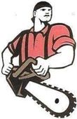 Big Mikes Tree Service