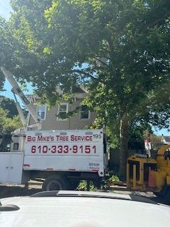 A big mike 's tree service truck is parked in front of a house.