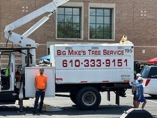 A man is standing next to a big mike 's tree service truck.