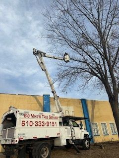 A tree trimming truck is parked in front of a building.