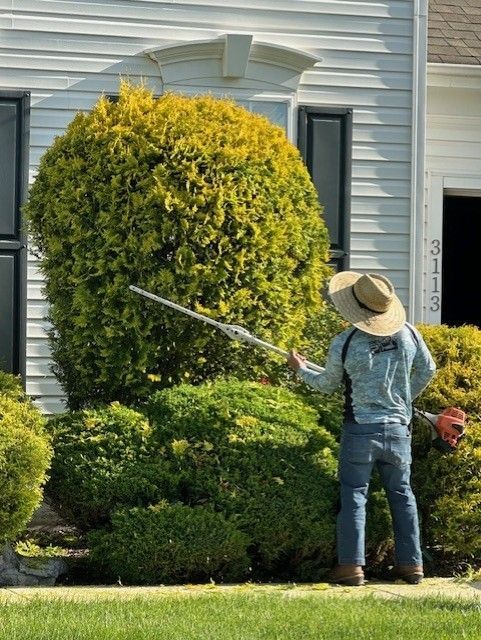 A man wearing a hat is cutting a bush with a hedge trimmer