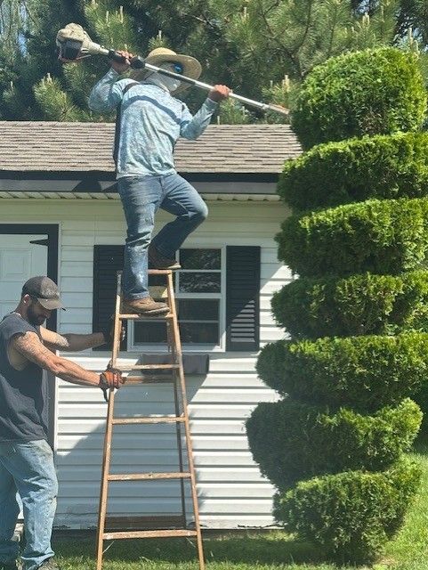 A man on a ladder cutting a bush with a lawn mower
