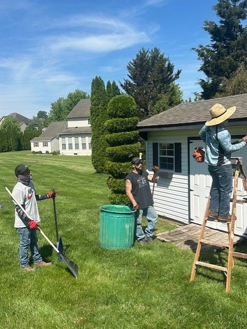 A man is standing on a ladder in front of a shed
