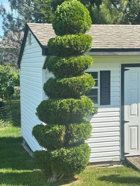 A white shed with a tree in front of it