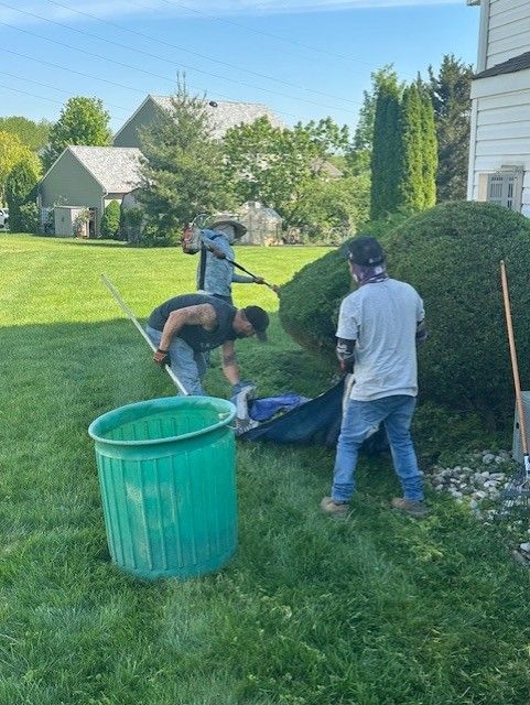 Two men are cutting a bush in a yard with a green trash can in the foreground.