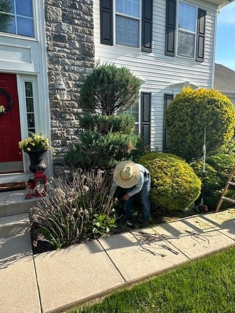 A man is cutting a tree in front of a house.