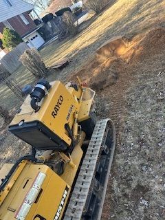 A bulldozer is cutting down a tree in the woods.