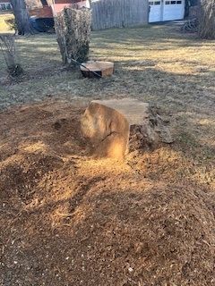 A large tree stump is sitting in the middle of a yard.